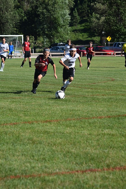 例如针对低 例如针对低