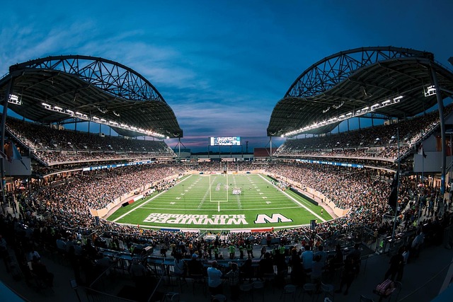 系将是未来 系将是未来