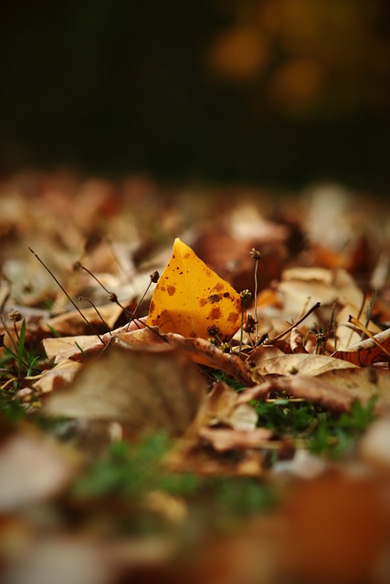 理层决策紊 理层决策紊