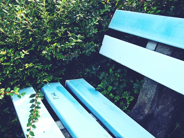 最新排名:湖人力克西部第2火箭 快船保底附加赛 热火小升1名.