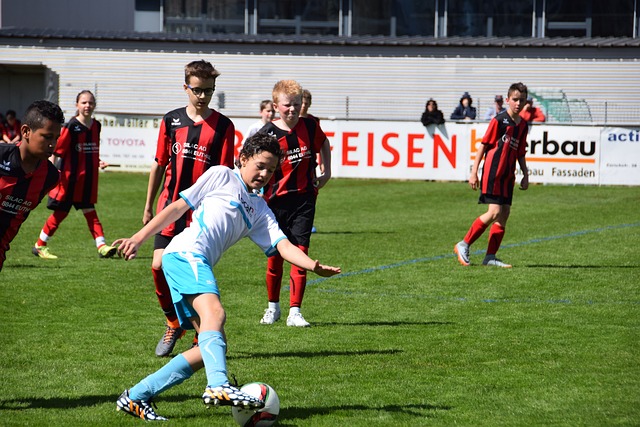 岛的核心看 岛的核心看