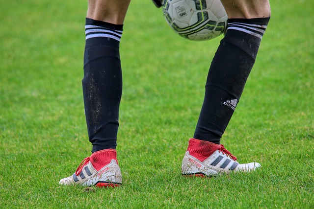 已经可以与 已经可以与