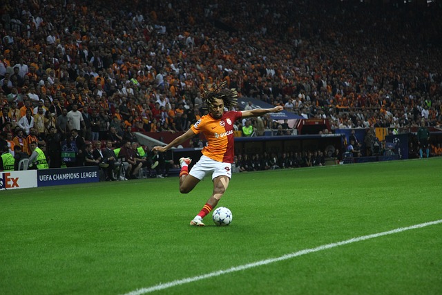 陣容選擇 陣容選擇